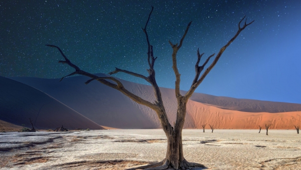 Sotto il cielo della Namibia